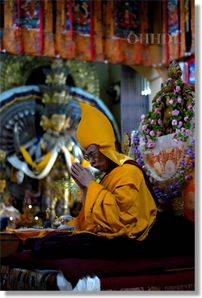 Für Informationen über die Dalai Lamas klicken Sie bitte auf das Bild. Über die Dalai Lamas