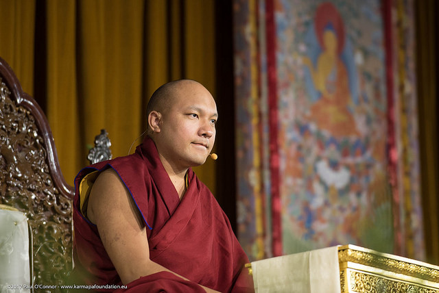 Auf das Bild klicken um es zu vergrößern! 17. Karmapa Ogyen Trinley Dorje
