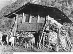 Bundesarchiv Bild 135-KA-05-085, Tibetexpedition, Haus im Lachungtal