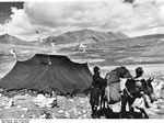Bundesarchiv Bild 135-KB-04-031, Tibetexpedition, Nomadenlager