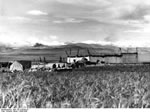 Bundesarchiv Bild 135-S-04-09-23, Tibetexpedition, Landschaftsaufnahme, Gehöft