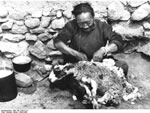 Bundesarchiv Bild 135-S-04-13-21, Tibetexpedition, Tibeter bei Schafschur