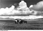 Bundesarchiv Bild 135-S-01-01-13, Tibetexpedition, Landschaftsaufnahme, Karawane