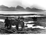 Bundesarchiv Bild 135-S-07-23-16, Tibetexpedition, Landschaftsaufnahme, Karawane