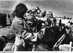 Bundesarchiv Bild 135-S-10-24-07, Tibetexpedition, Karawane, Esel