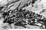 Bundesarchiv Bild 135-S-12-50-02, Tibetexpedition, Himmelsbestattung, Geier