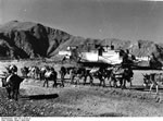 Bundesarchiv Bild 135-S-15-04-10, Tibetexpedition, Eselkarawane vor Potala