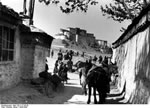 Bundesarchiv Bild 135-S-17-26-30, Tibetexpedition, Blick auf Burg